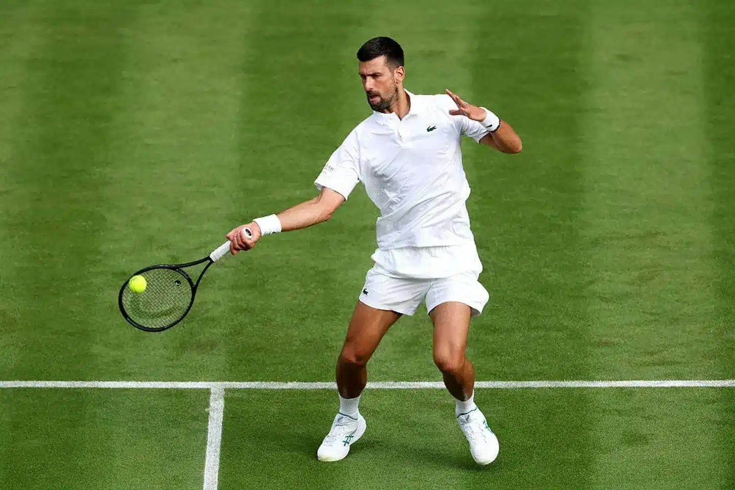 Djokovic looks to win his eighth Wimbledon.